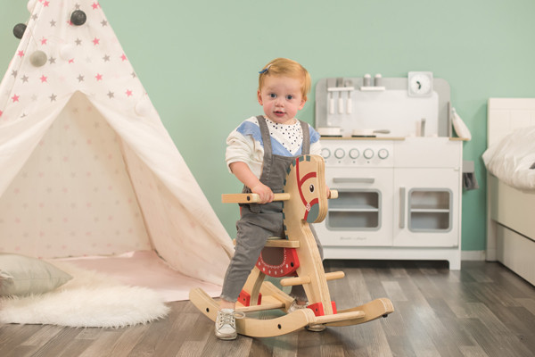 Inclusief veiligheidsbeugel.